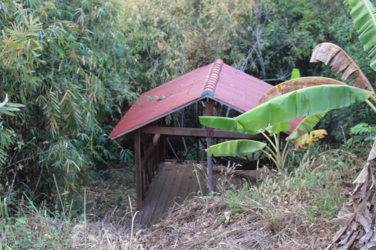 Terre De Lumiere Bed & Breakfast ศรีมโนรม ภายนอก รูปภาพ